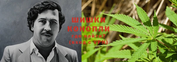 spice Вязники
