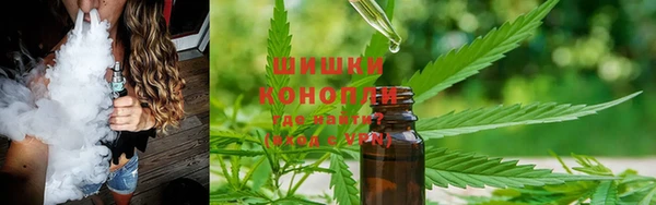гидропоника Вяземский