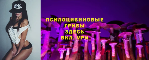 spice Вязники
