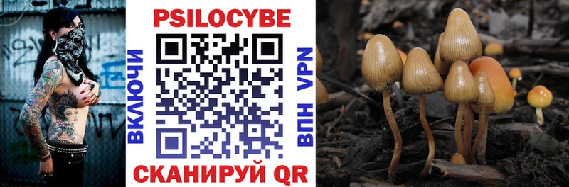 Галлюциногенные грибы GOLDEN TEACHER Новая Усмань